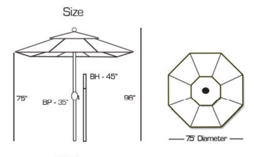 frame information