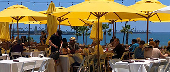 yellow bambrella umbrellas