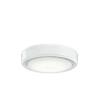 147-BEL-2011754 - 17W LED Etched Cased Opal Light Kit - White Finish