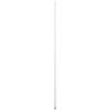 36 Inch Down Rod Length - White Finish