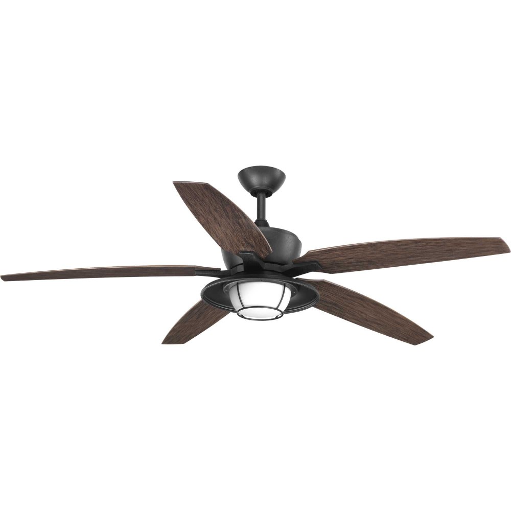 Ceiling Fans