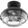 1974-69 - 6W 1 LED Clear Caged Light Kit - Noir Finish