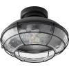 1975-69 - 6W 1 LED Large Caged Light Kit - Satin Nickel Finish